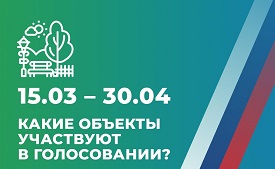 Проголосуй за благоустройство Перми!